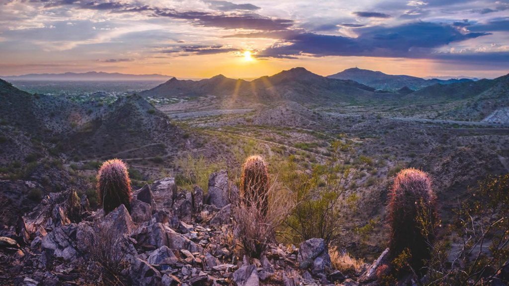 Affordable disposable vapes near Dreamy Draw and Cave Creek in North Phoenix, AZ